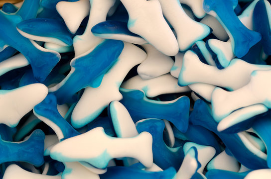 caramelle bianche e blu a forma di squalo