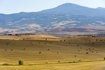 Obraz premium Landscape in Val d'Orcia (Tuscany)