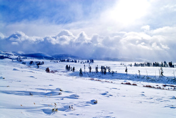Fototapeta na wymiar Winter Landscape Yellowstone
