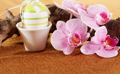 Fototapeta na wymiar Easter eggs and orchid flowers