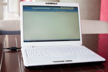 Fototapeta na wymiar laptop on wooden desk