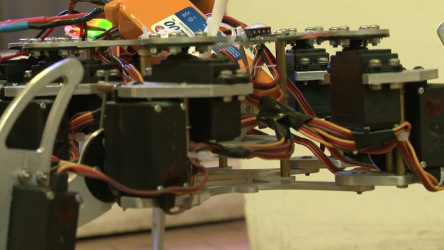 Spider robot
