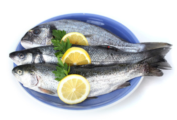 Fresh fishes with lemon and parsley on plate isolated on white