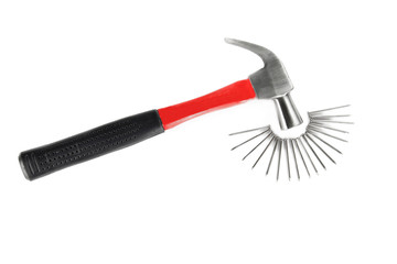 A Hammer and Nails.