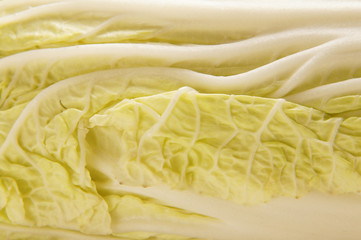 Close-up image of a fresh and tasty cabbage