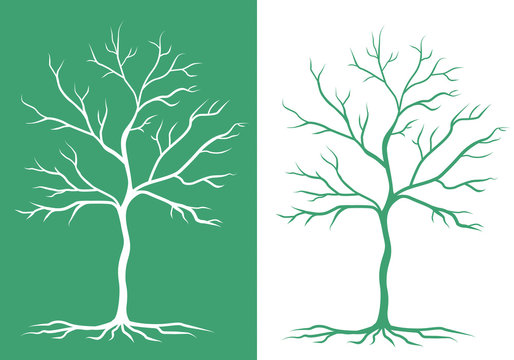 two silhouettes of trees
