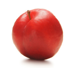 A fresh red plum isolated on a white background