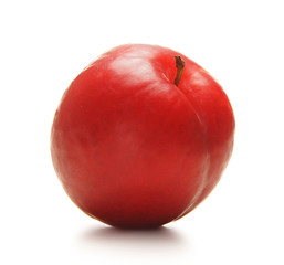 A fresh red plum isolated on a white background