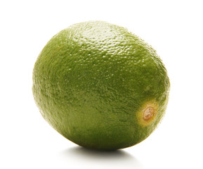 A fresh green lime isolated on a white background