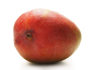 A fresh mango fruit isolated on a white background