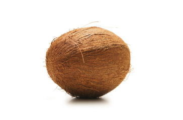 A fresh coconut isolated on a white background