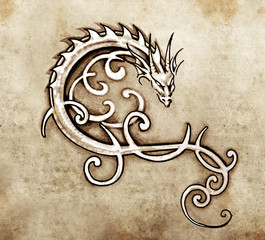 Sketch of tattoo art, decorative dragon