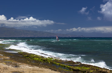 Wind surfer enjoys the colourful hookipa park in Maui
