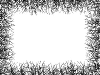 Black border of naked branches on white background