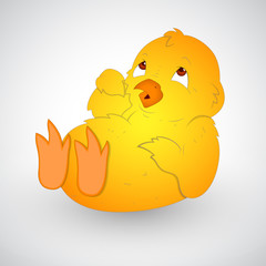 Cute Baby Chick