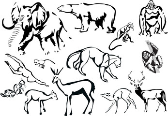 collection of animals sketches