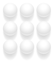 Set of Chicken Eggs