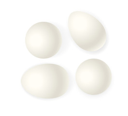 White Vector Eggs