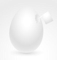 Chicken Egg with Flag