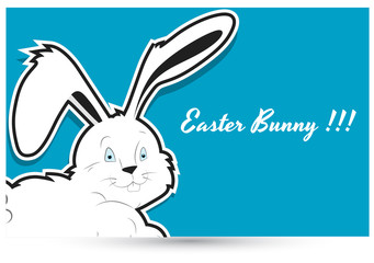 Easter Bunny Vector Background