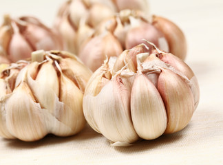 garlic