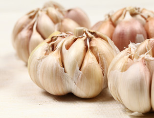 garlic