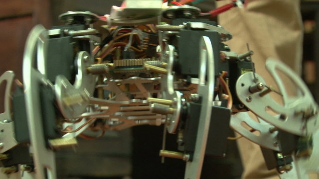 Spider robot