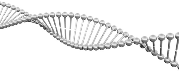 DNA structure Digital illustration in 3d isolated on white