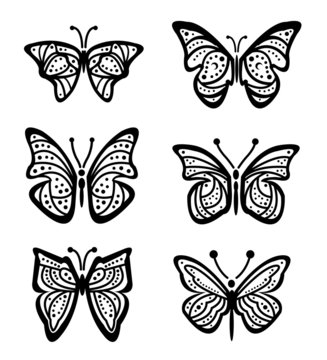 Lots of different Butterfly Vector illustration