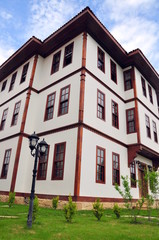 Fototapeta premium house and its garden under blue sky