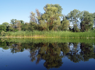 Fototapeta na wymiar View on the river ,Ukraine , spring
