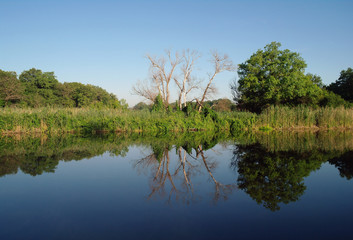 View on the river ,Ukraine , spring