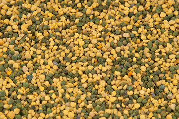 Bee pollen, background.