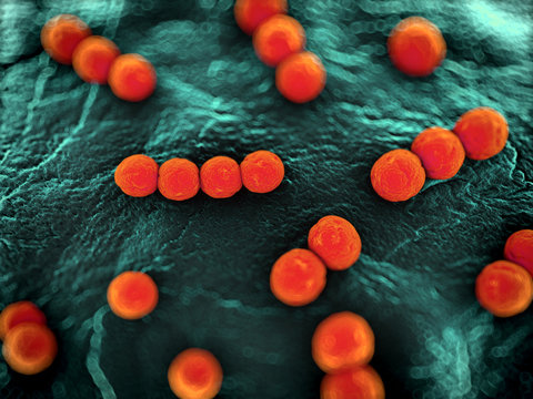 3d rendered scientific illustration of some bacteria