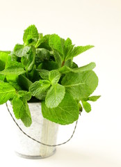 bunch of fresh green mint on white background