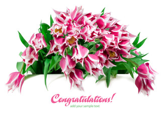 Bouquet of tulips
