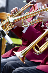 Fototapeta premium Trumpeters