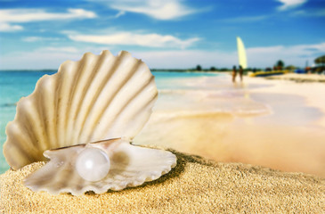 seashell with pearl on the beach