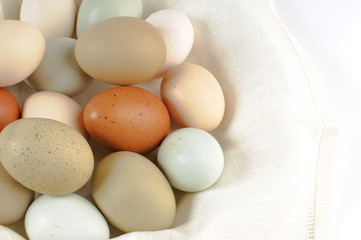 Multi colored chicken eggs