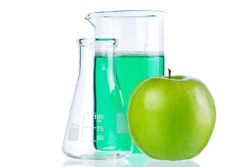 Genetically modified organism