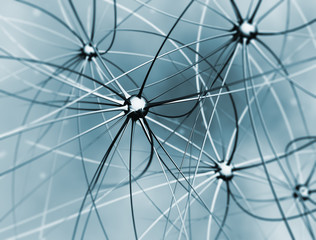 Obraz premium Brain cells neurons