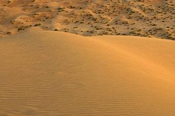 Dunes in Abu dhabi