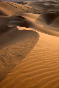 Abu Dhabi's desert dunes