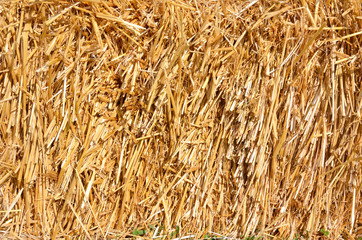 close up of straw as background or texture