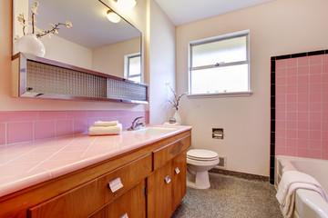 Fototapeta na wymiar PInk old bathroom interior with tub.