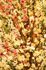 japanese flower
