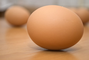eggs