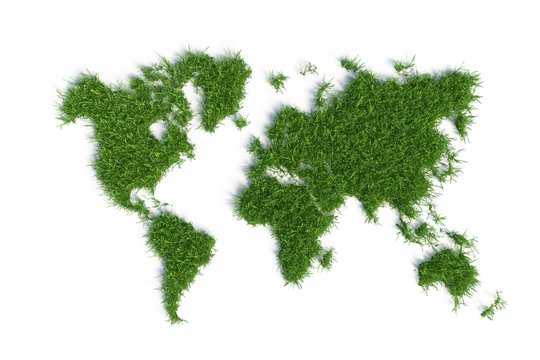 ecological map of the world in green grass