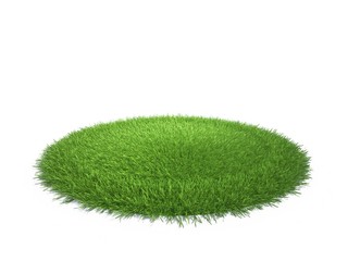 a round piece of cropped grass to be installed
