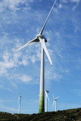 Wind generator, Casares, Spain © Arena Photo UK